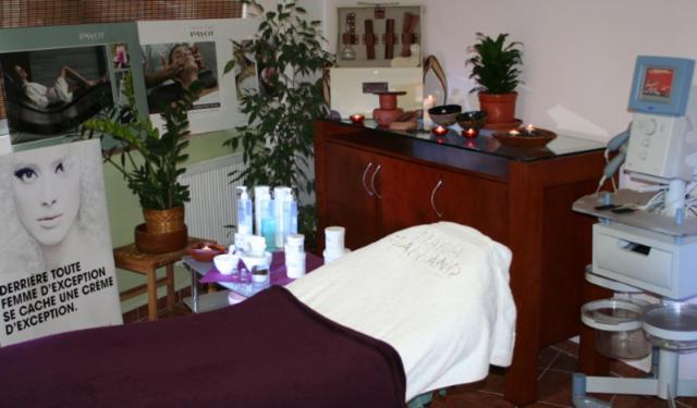 Saraya Wellness & Guest house Teplice